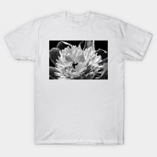 Black and White Peony T-Shirt